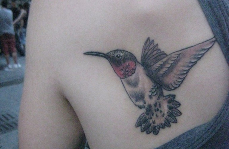 Kolibri Tattoo Motive und deren Bedeutung Kolibri Tattoo Motive und deren Bedeutung