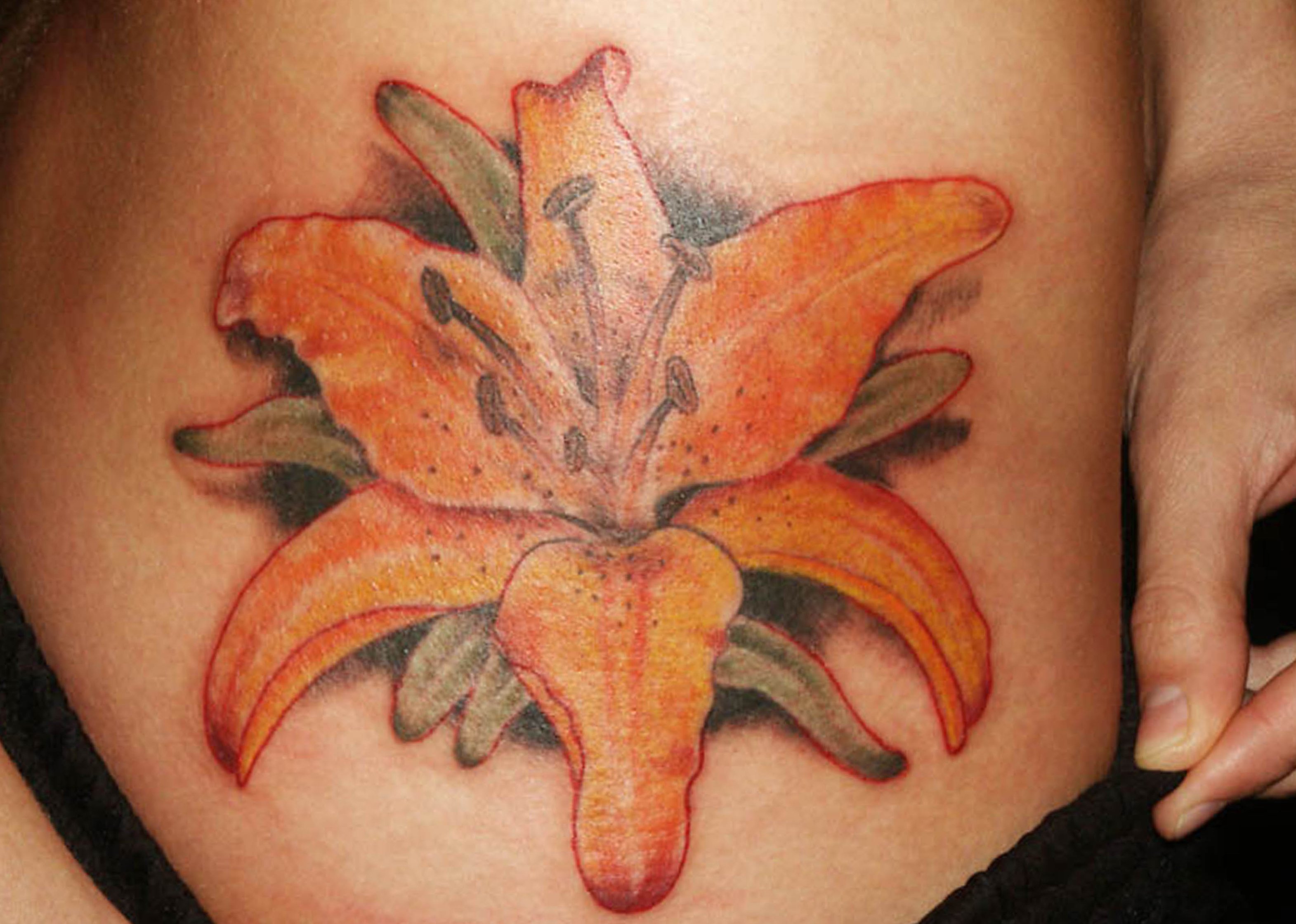 Hawaii Blumen Tattoos – Designs und deren Bedeutung alletattoo.de 5