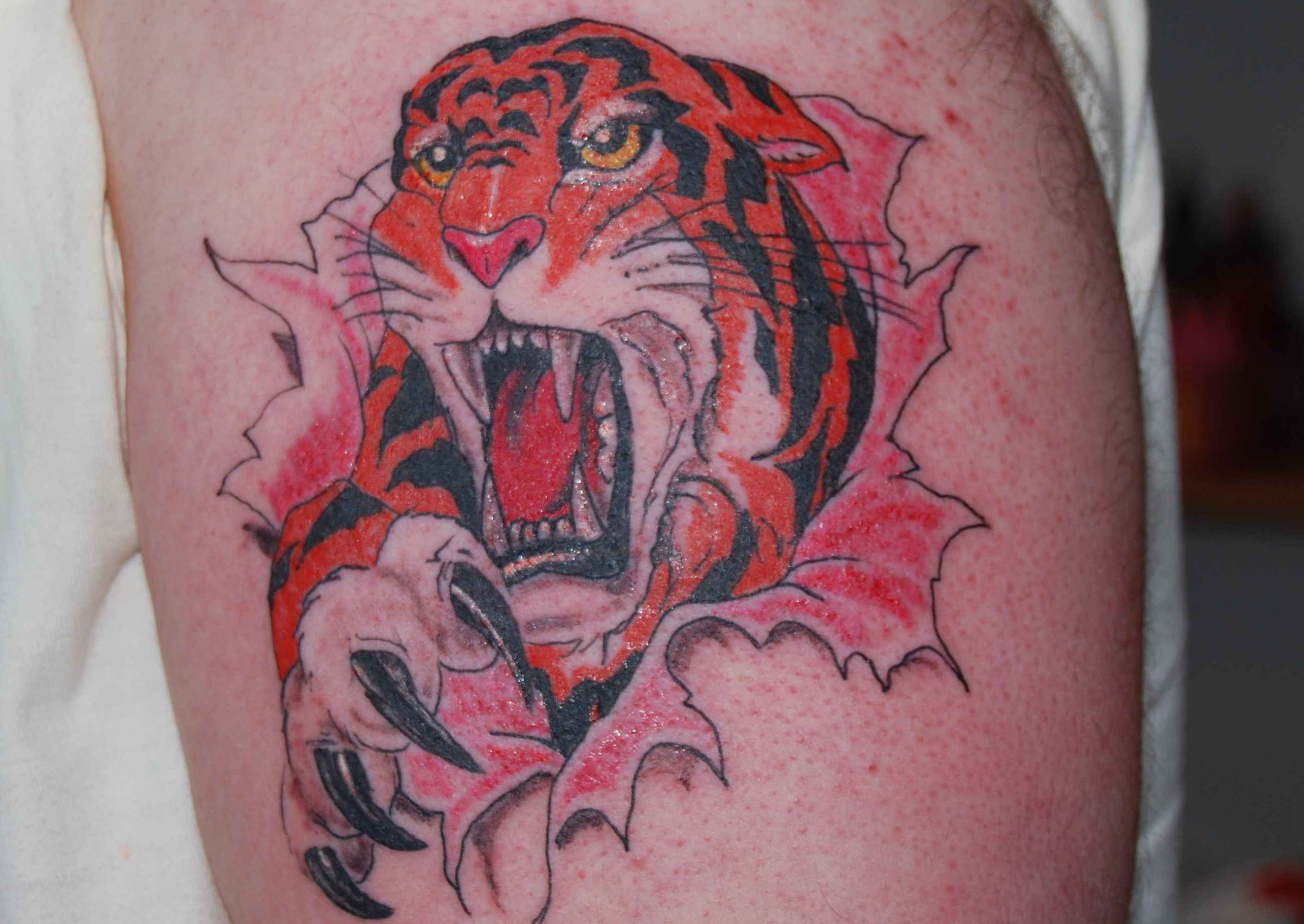 Tiger Tattoo Motive und Bedeutungen alletattoo.de 19