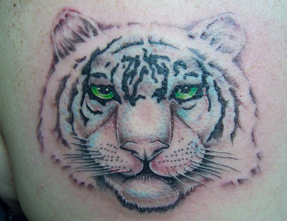 Tiger Tattoo Motive und Bedeutungen alletattoo.de 4