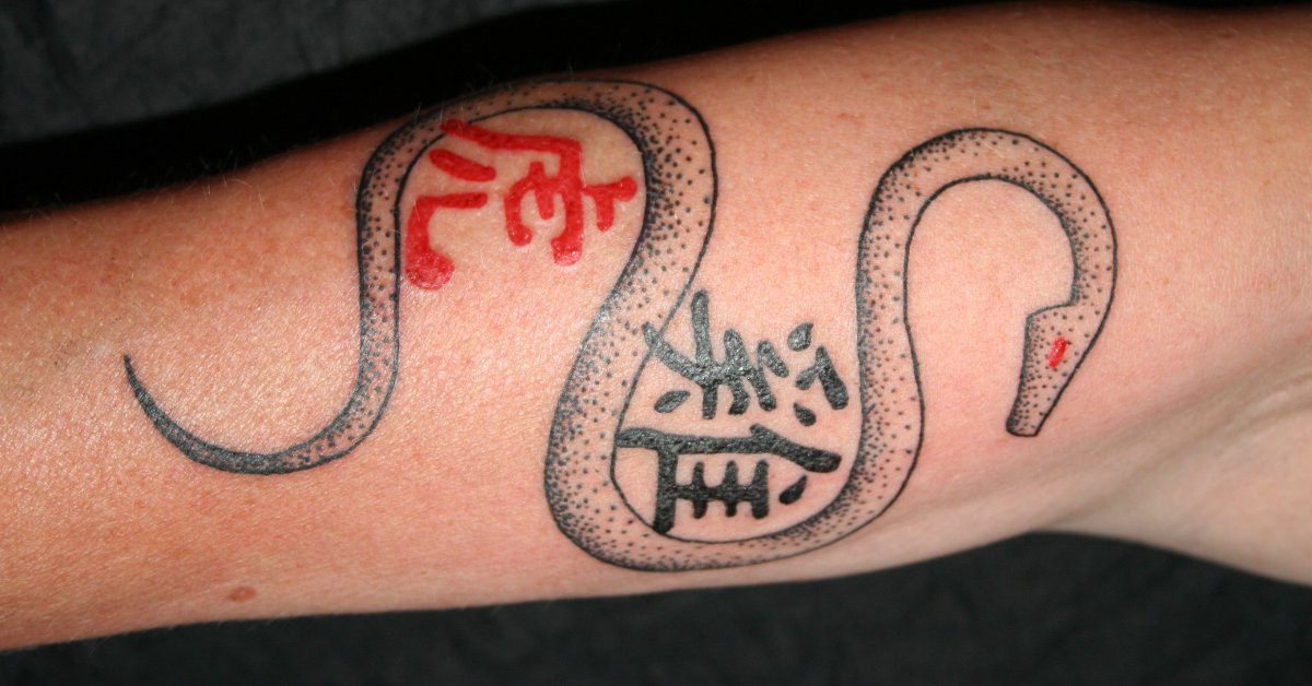 Schlangen Tattoo und die Bedeutungen alletattoo.de 25