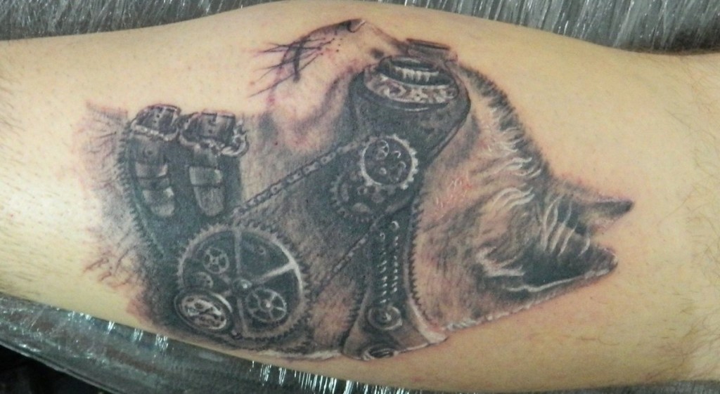 KatzeTattooamArmMann AlleTattoo.de