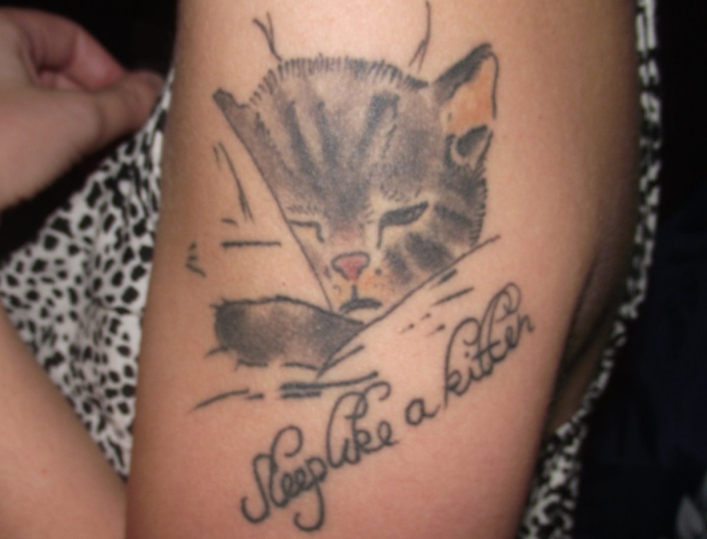 Katzen Tattoos und die Bedeutungen