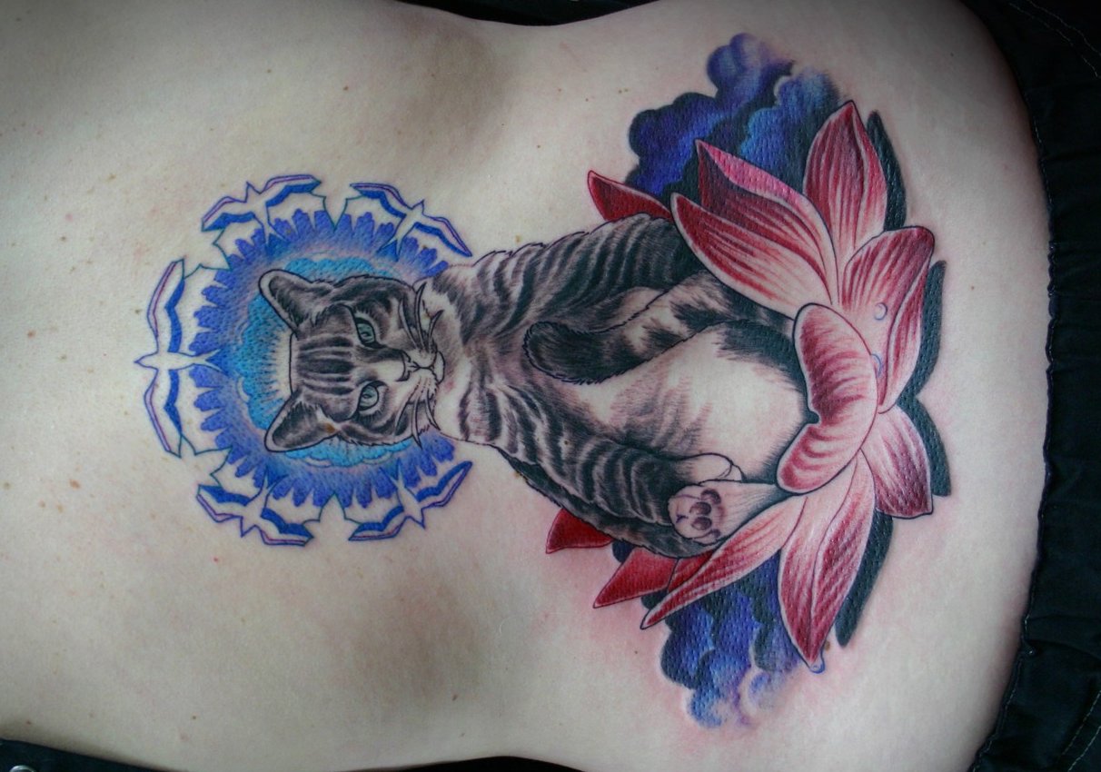 Katzen-Tattoo-am-Bauch