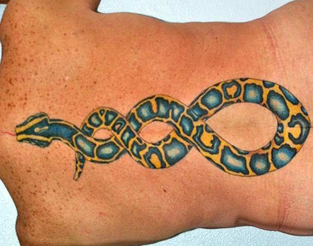 Schlangen Tattoo und die Bedeutungen alletattoo.de 20