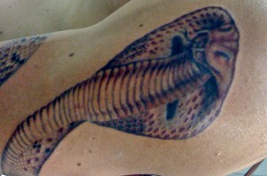 Schlangen Tattoo und die Bedeutungen alletattoo.de 5