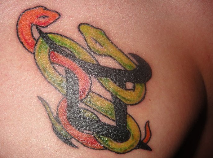 Zwillinge-Sternzeichen-und-Schlangen-Tattoo-auf-Brust