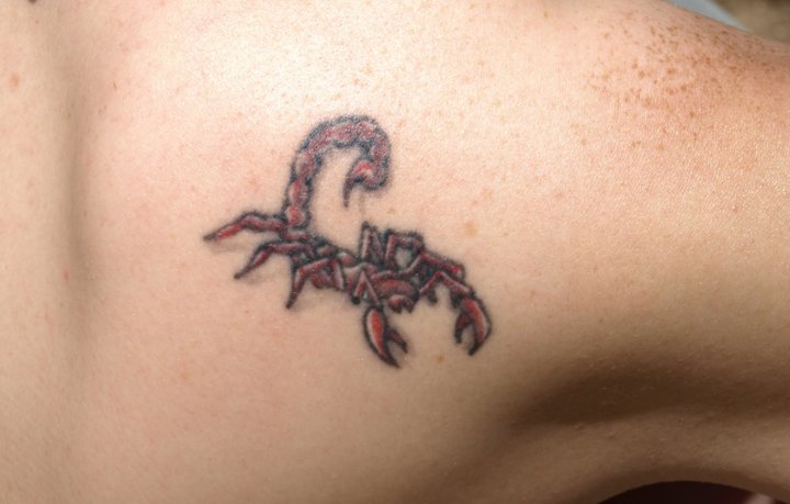 Rot-Skorpion-Tattoo-am-Schulterblatt