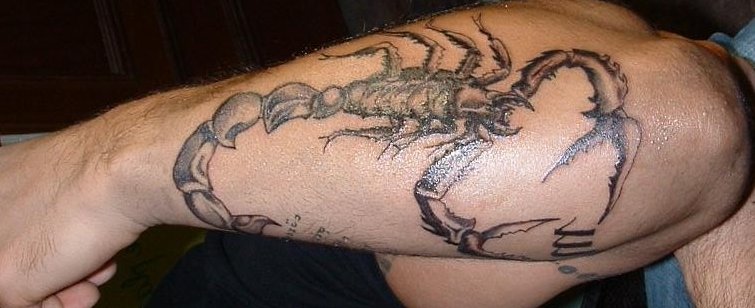 Skorpion-Tattoo-am-Unterarm